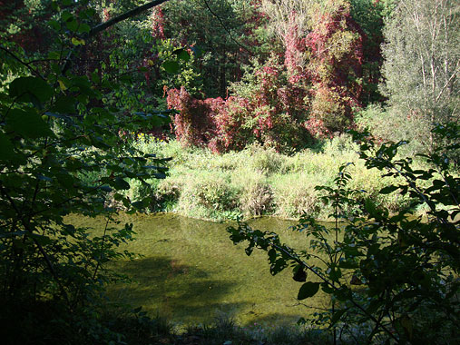 Herbstfluss