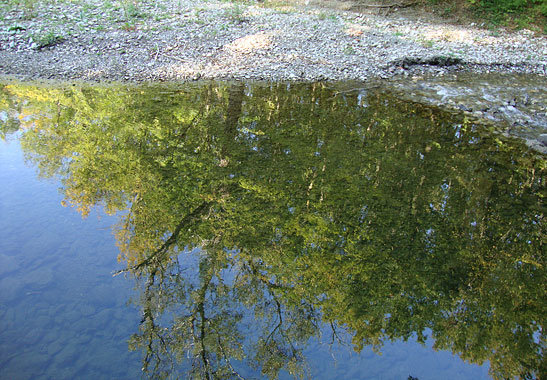 Spiegelung